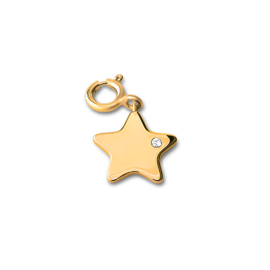 Melano Ornaments Star CZ Pendant