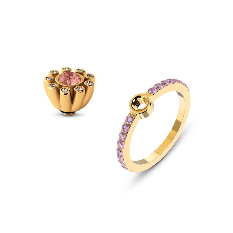 Advent Deal 10 December