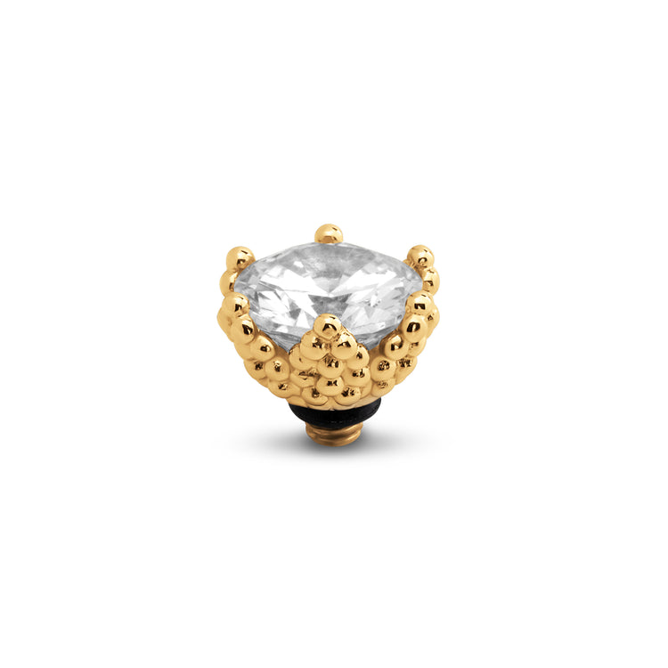 Melano Twisted Starlight Stein