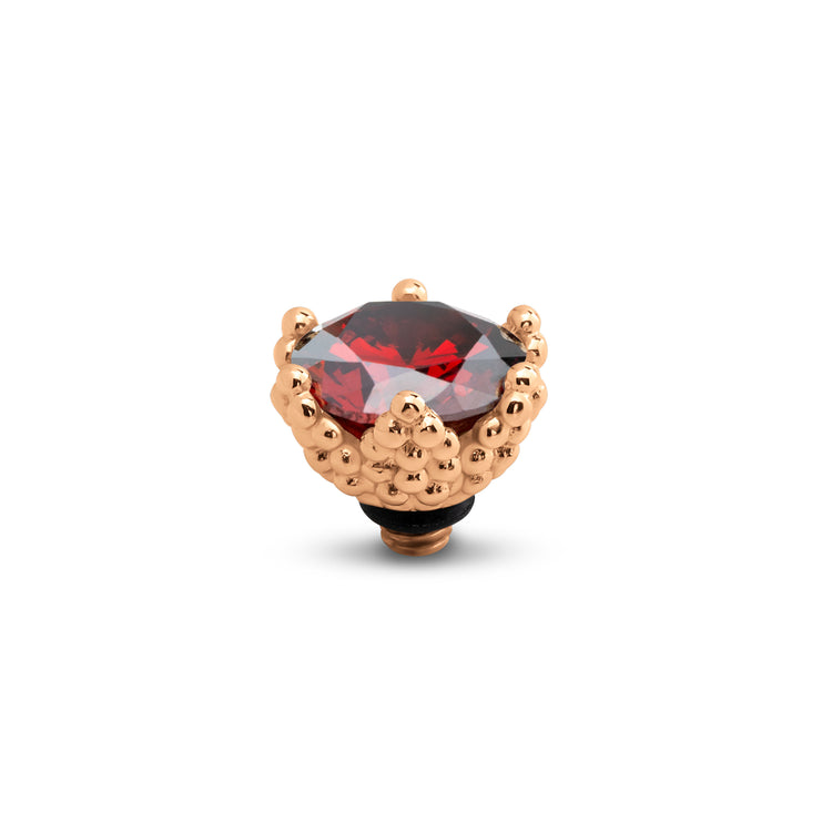 Melano Twisted Starlight Stein