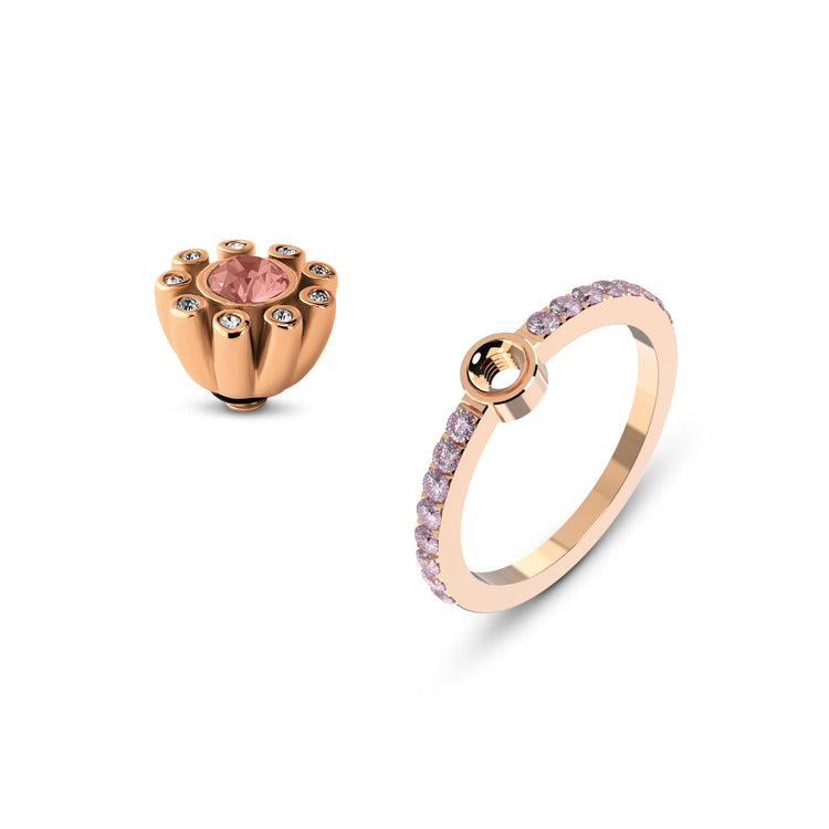 Advent Deal 10 December