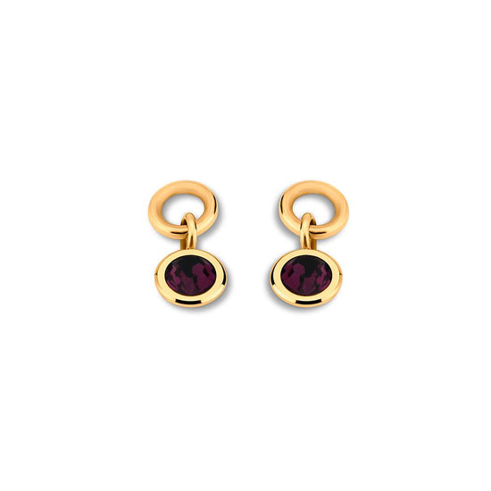 Melano Friends Birthstones Oorbellen Set 14 mm - melanojewelry